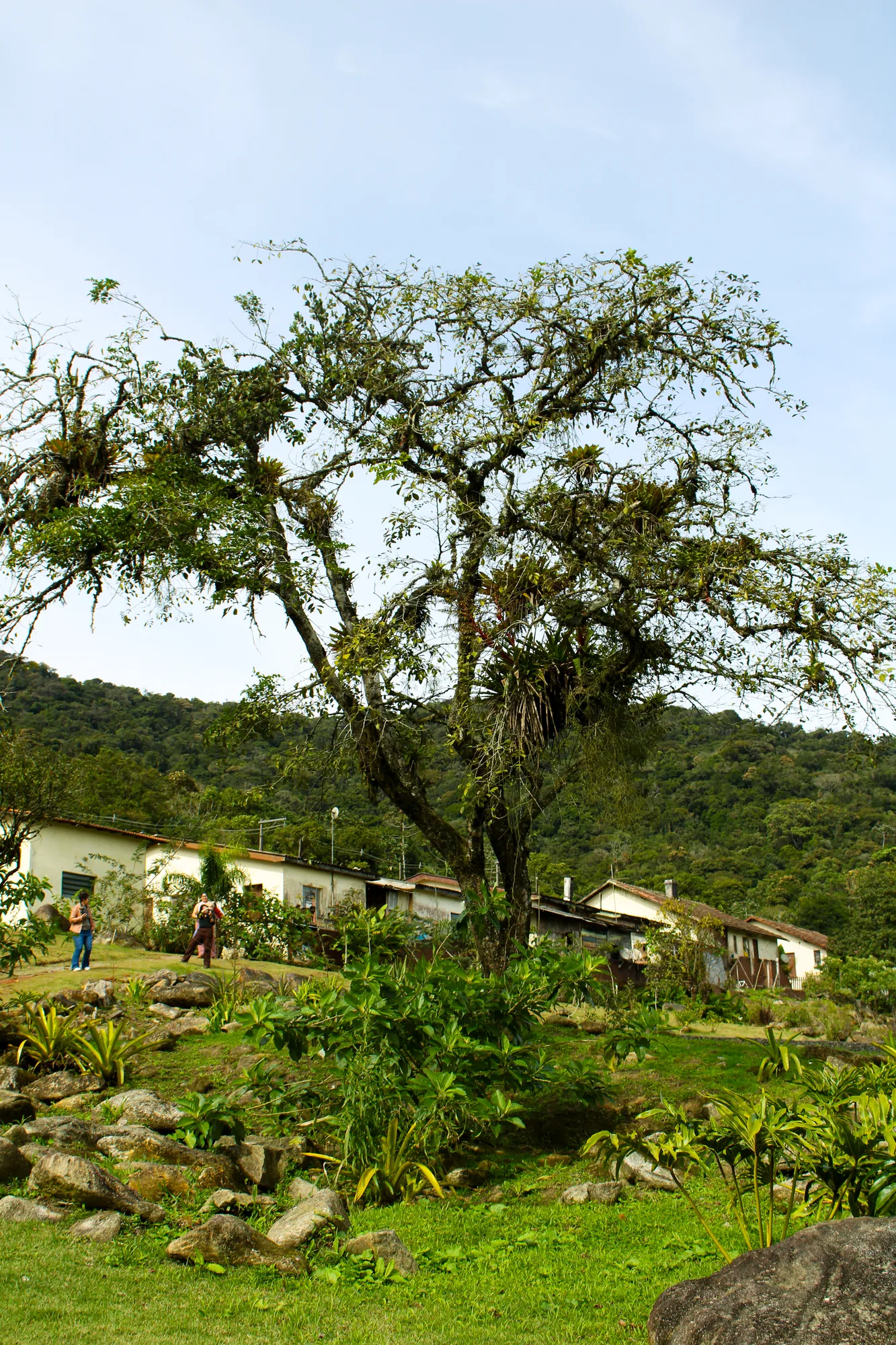 Natureza 2