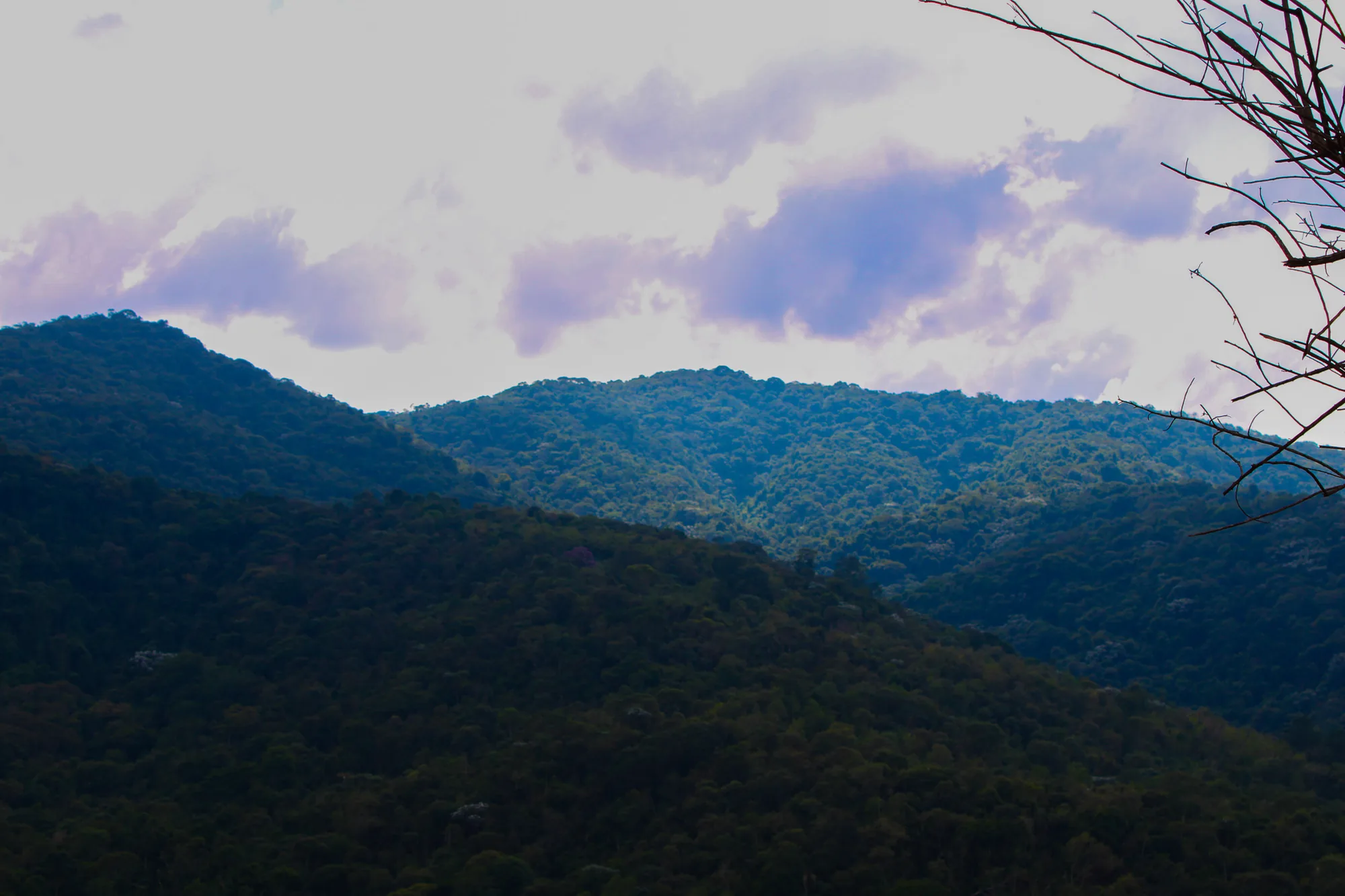 Natureza 9