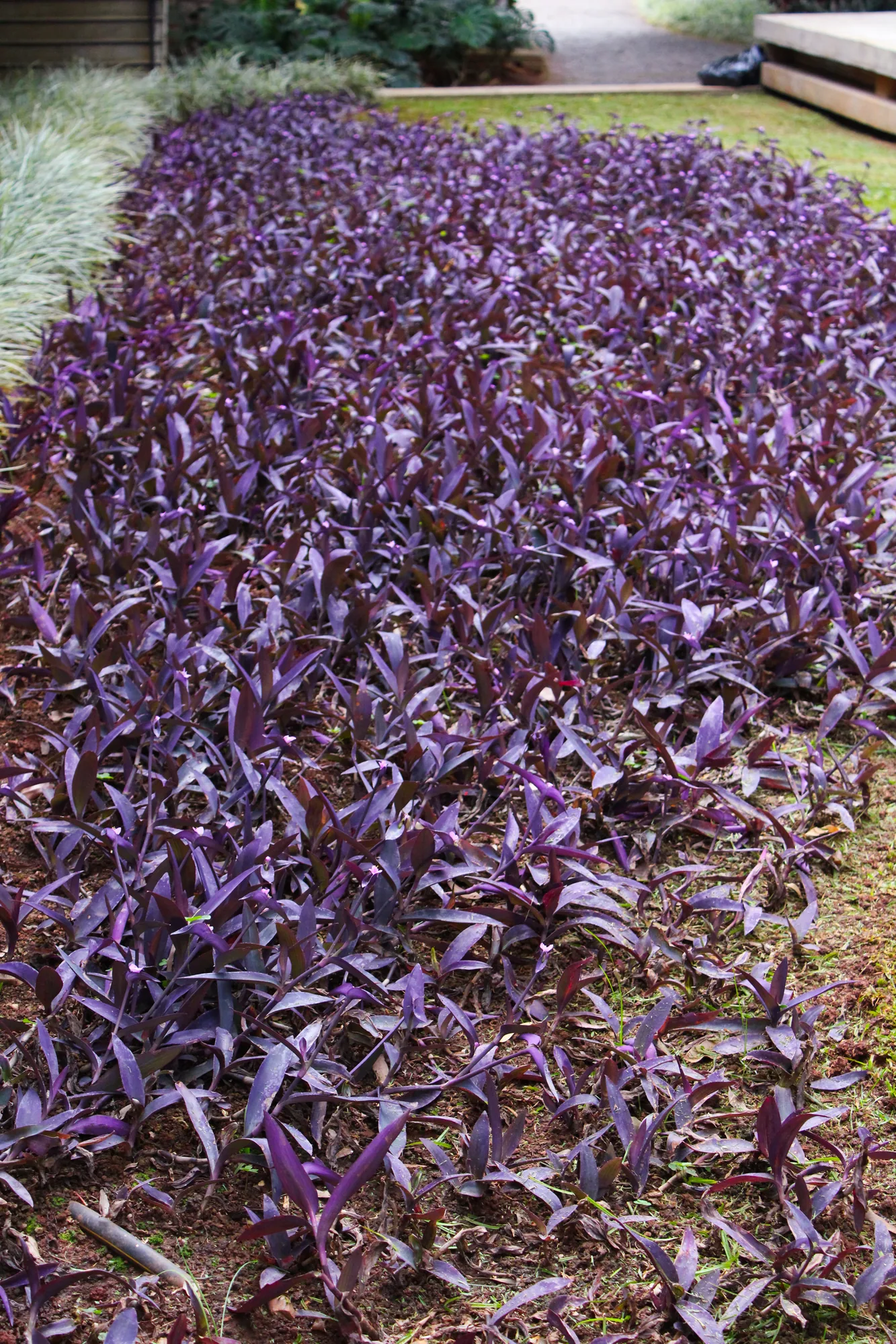 Natureza 10
