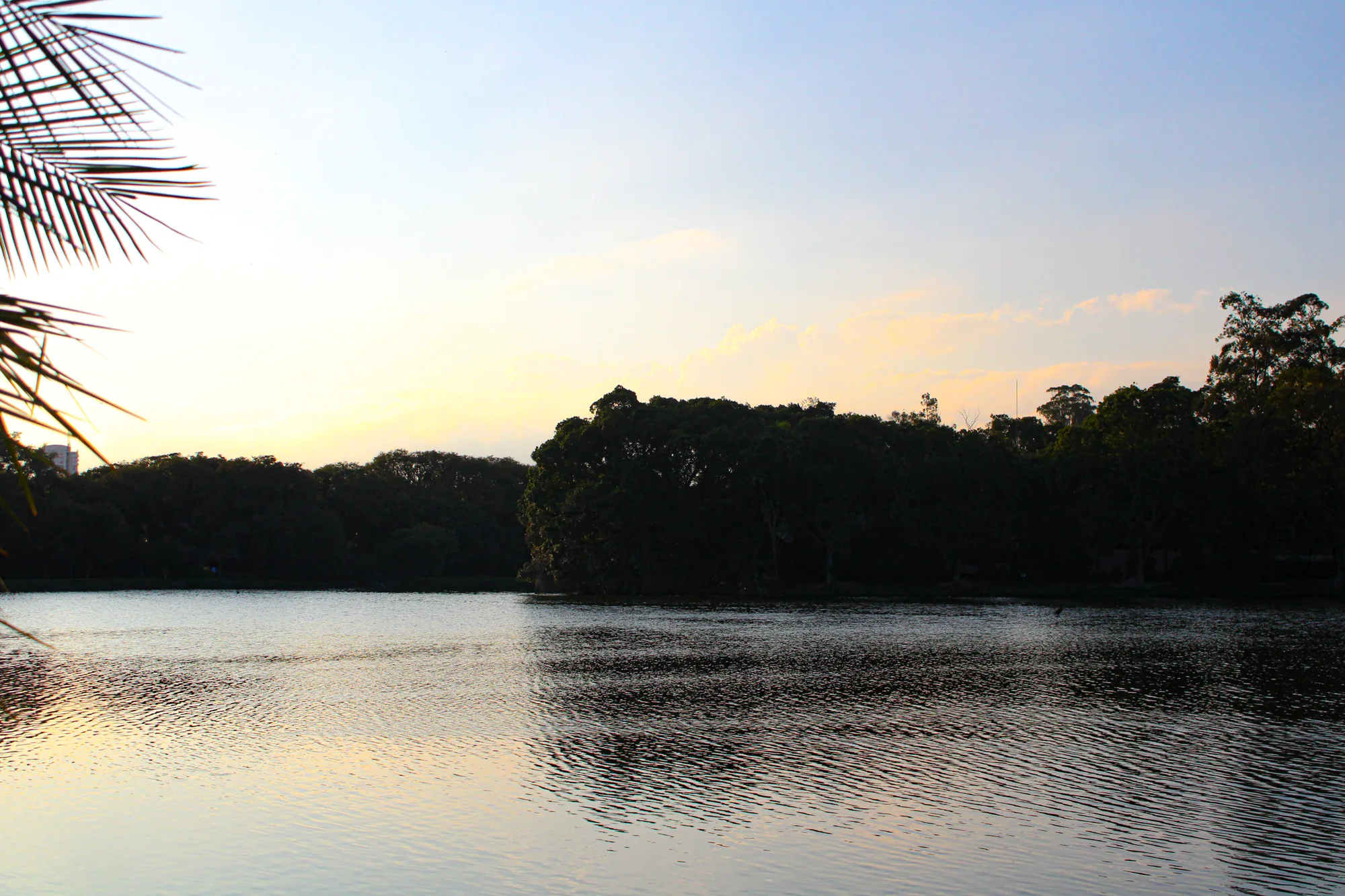 Natureza 19