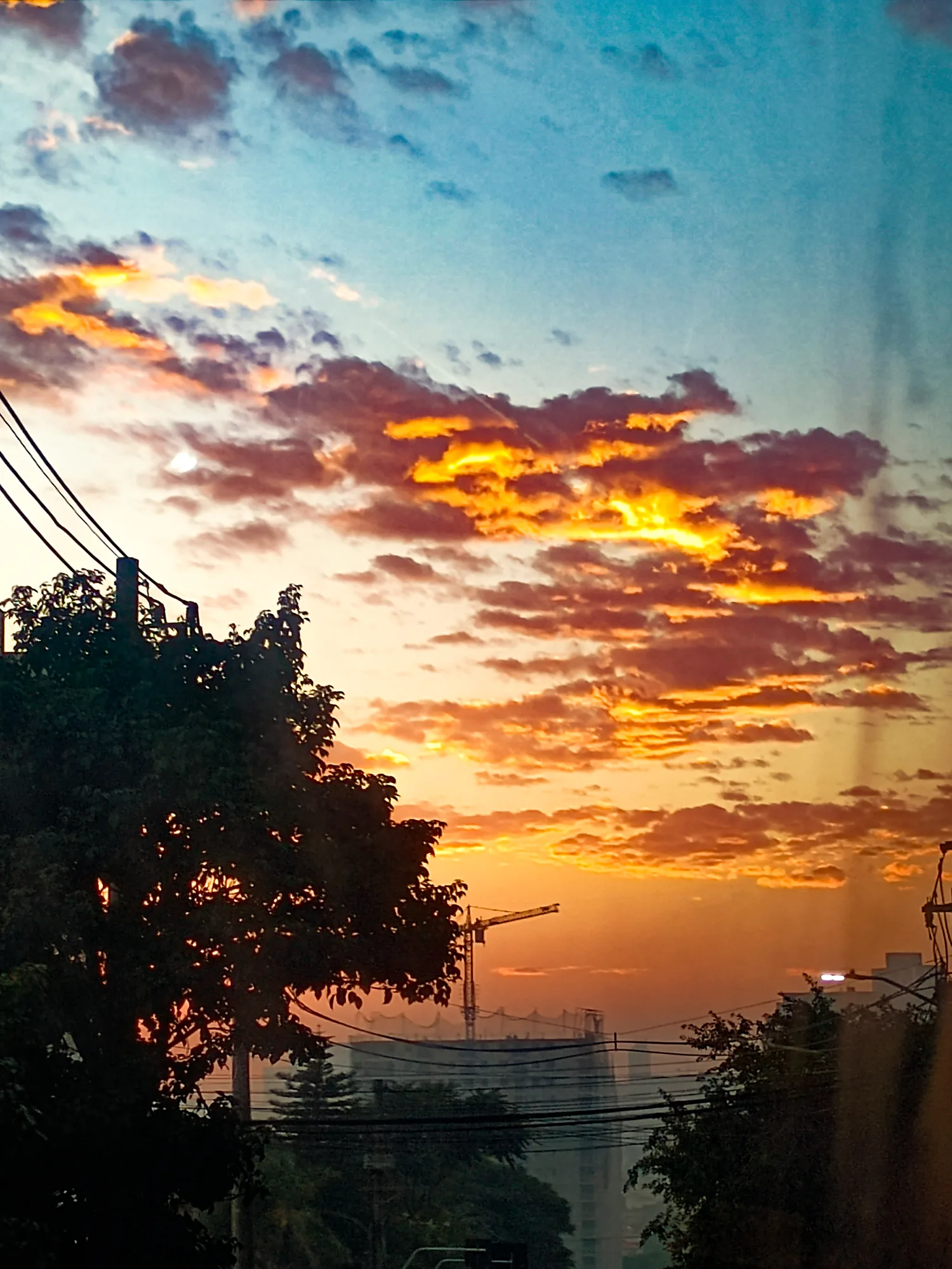 Natureza 42