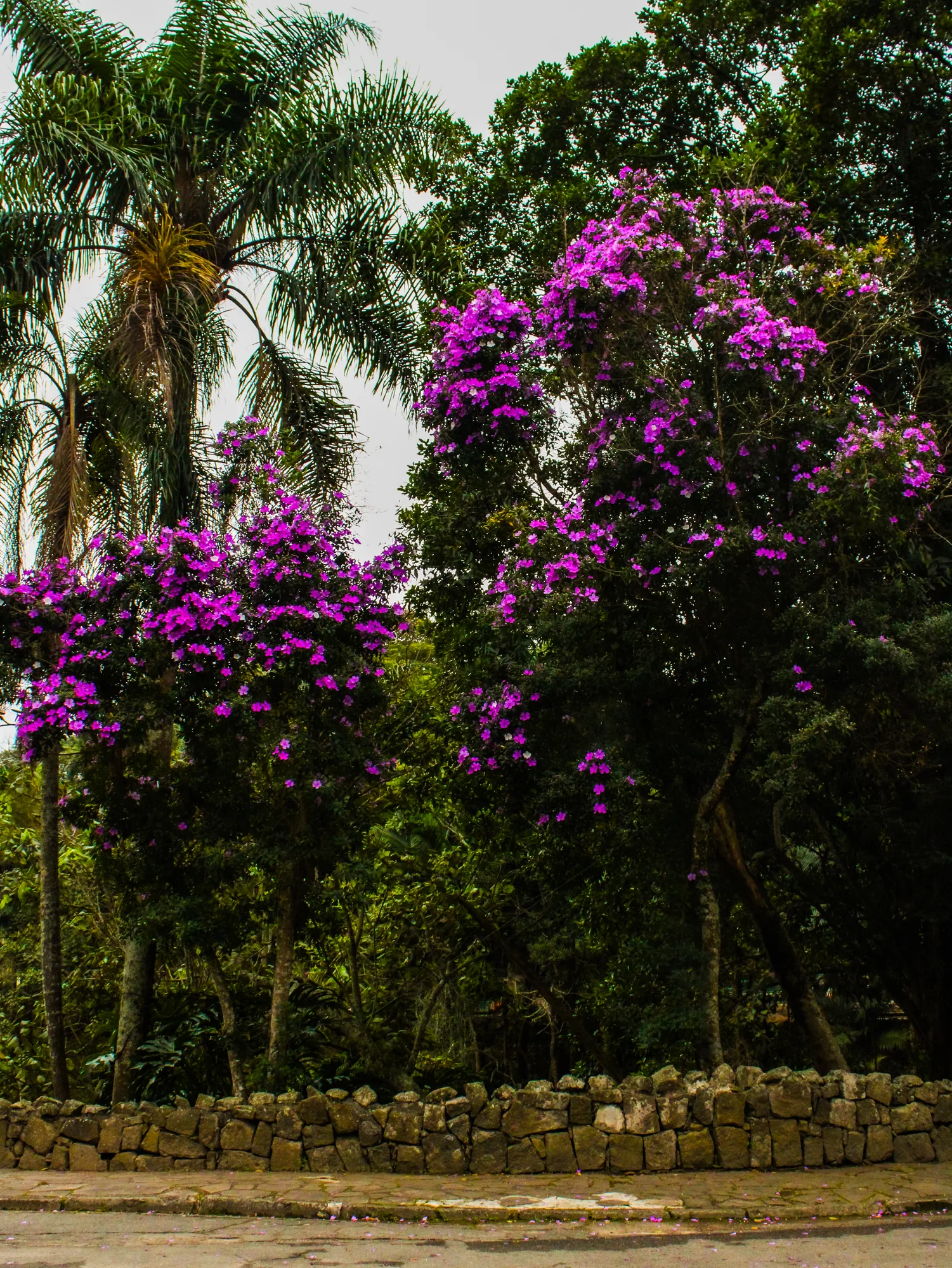 Natureza 47